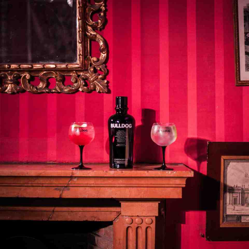 #misbehaveproperly Bulldog-2