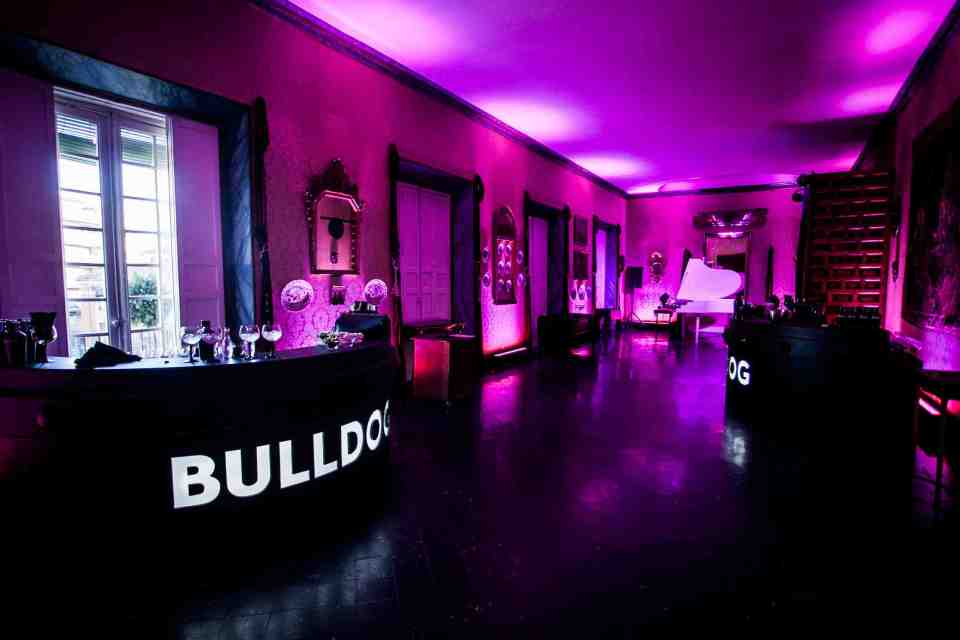 #misbehaveproperly Bulldog-3